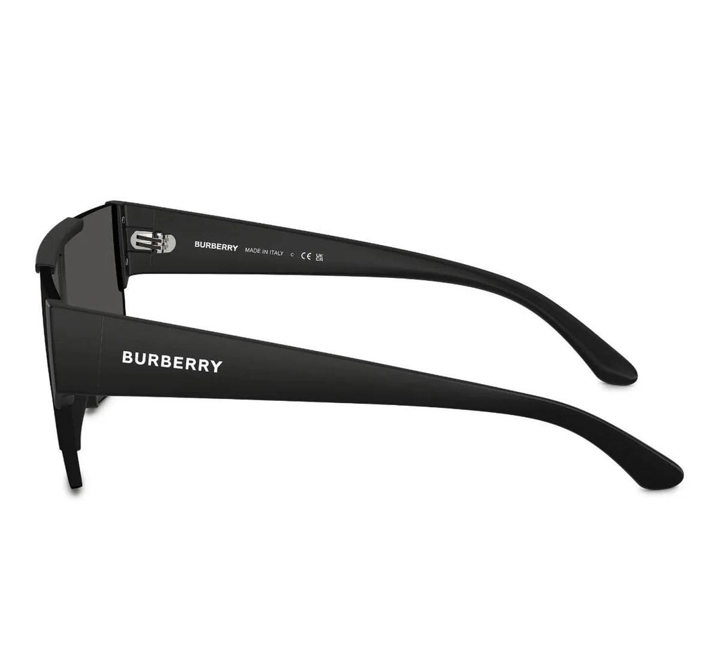 SUNGLASSES B*RB*RRY