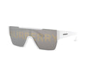 SUNGLASSES B*RB*RRY