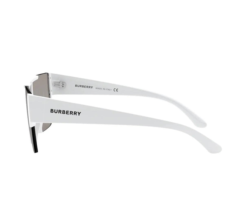 SUNGLASSES B*RB*RRY