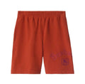 SHORTS BU*RB*RRY